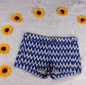 🌻 J. Crew Stretch Blue & White Shorts